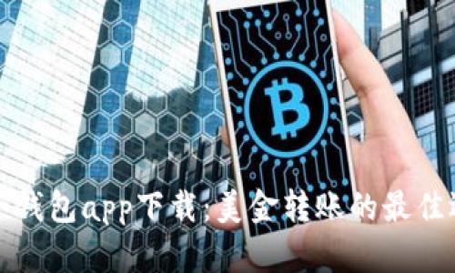 电子钱包app下载：美金转账的最佳选择